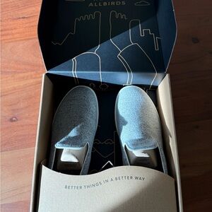 Allbirds Light Gray Wool Slip-Ons